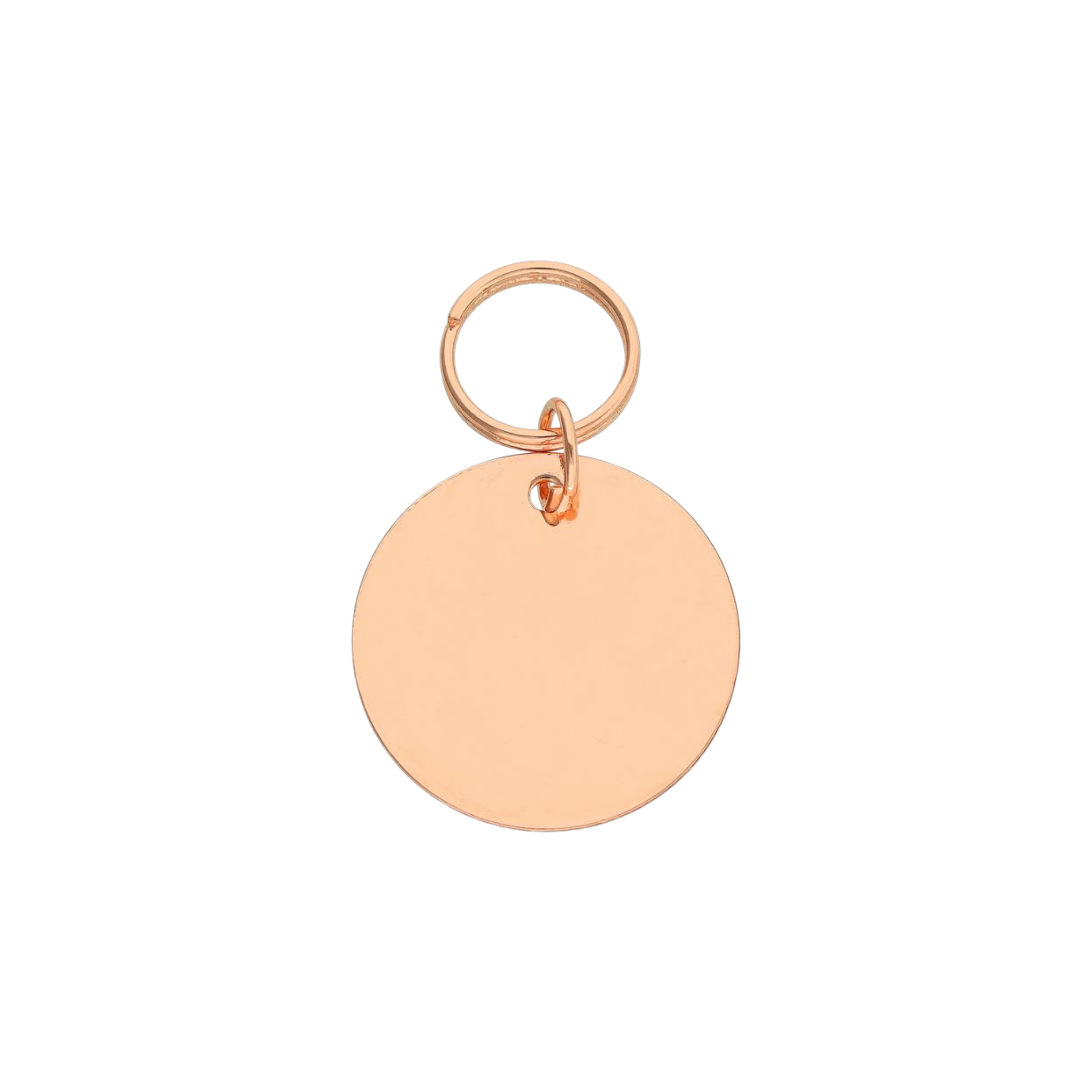 The Discotheque Pet ID Tag & Charm