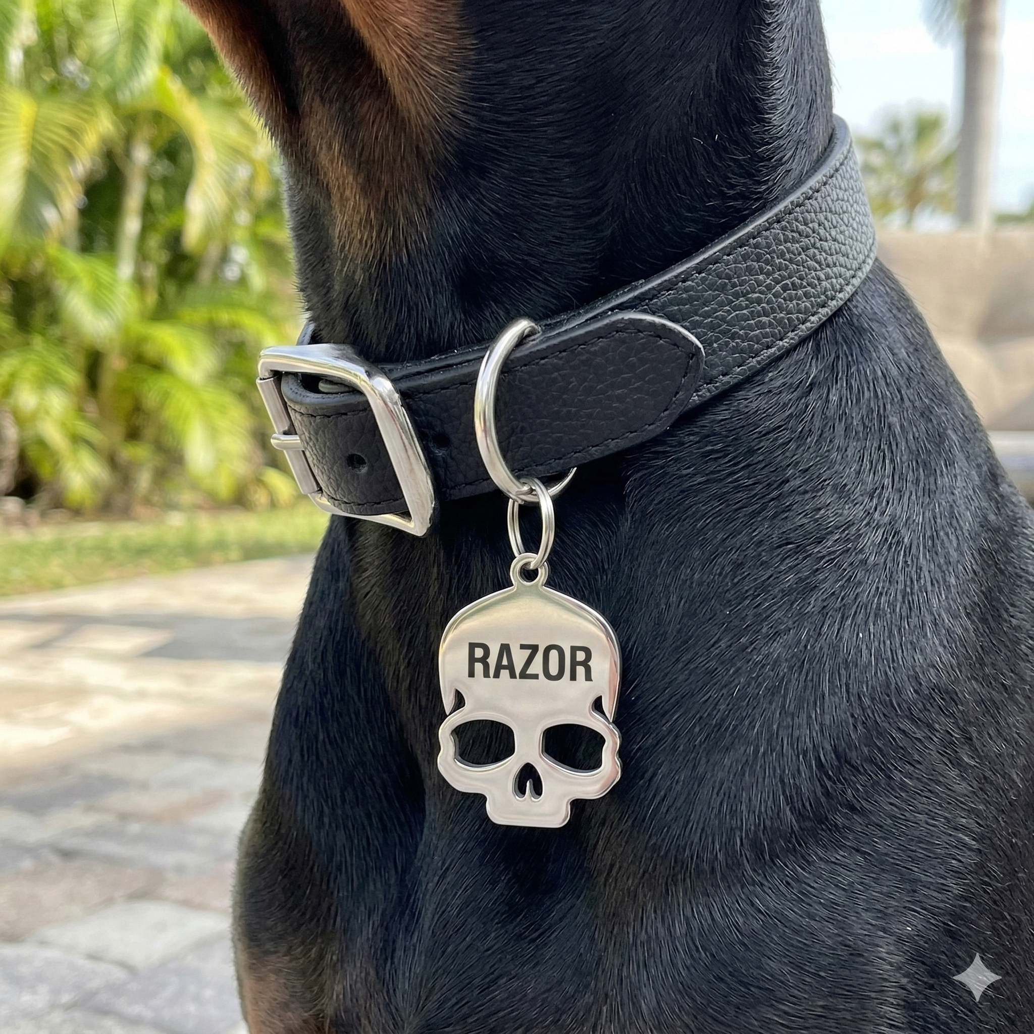 The Rebel | Custom Polished Skull Pet ID Tag