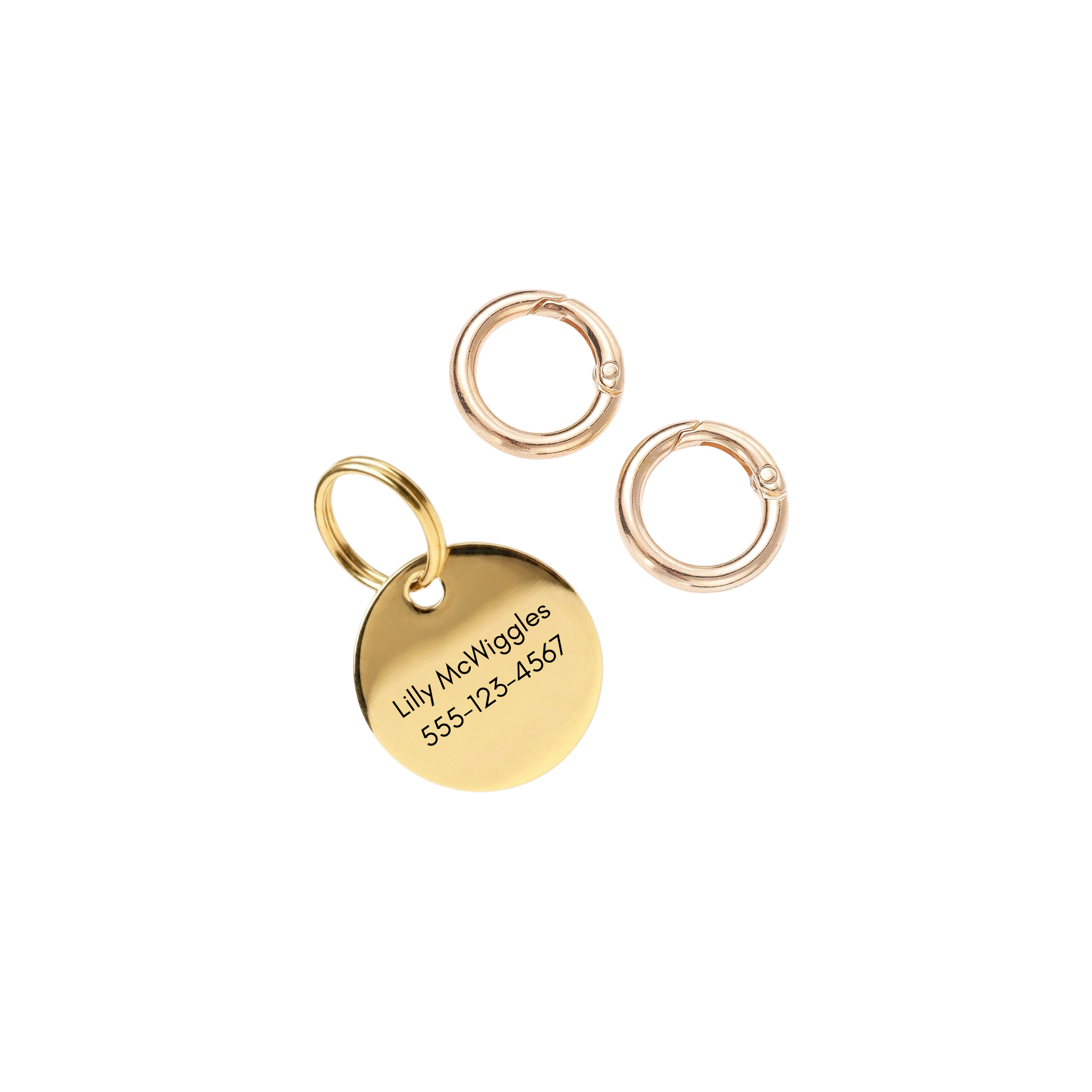 The Halo | Custom Round Polished Stainless Steel Pet ID Tag