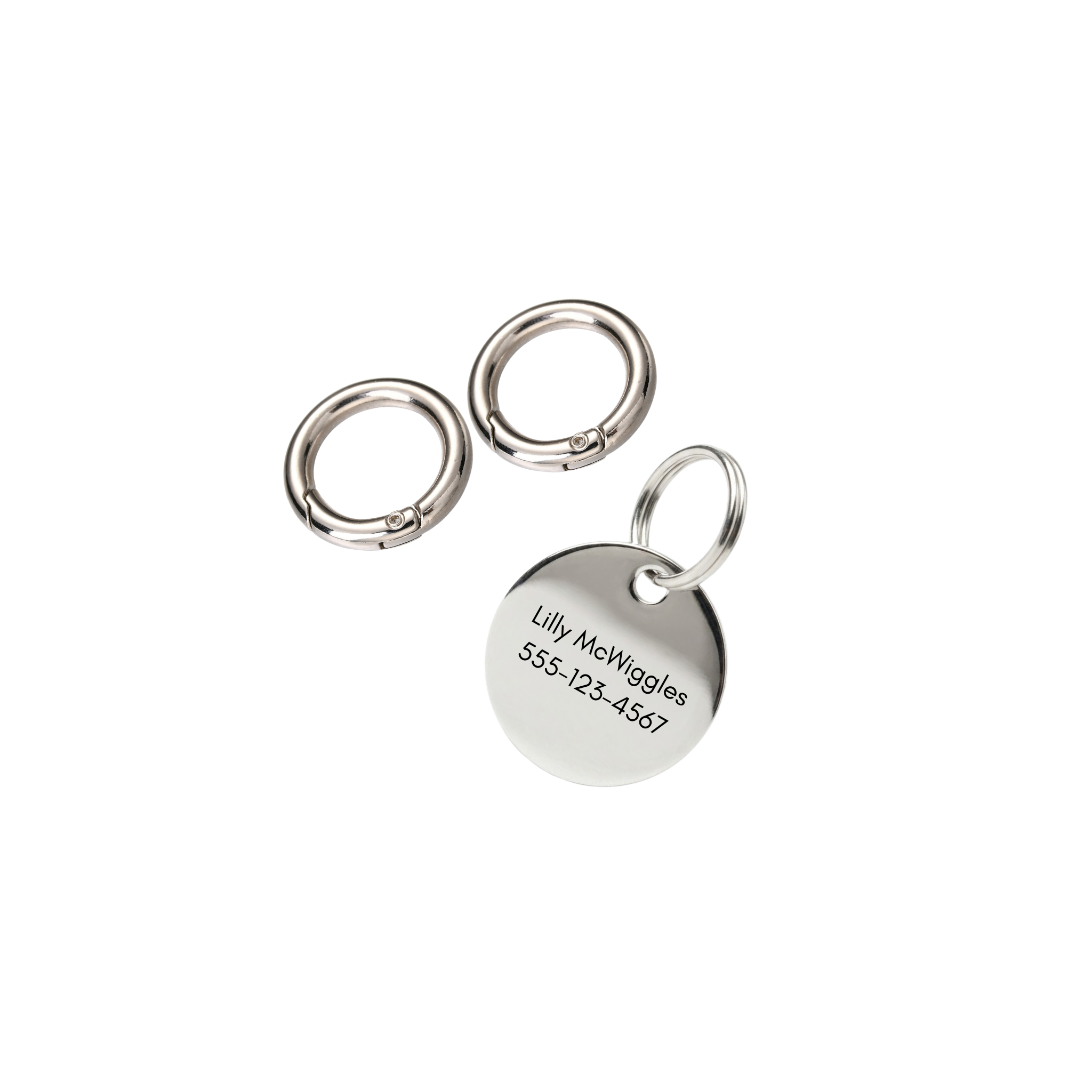 The Halo | Custom Round Polished Stainless Steel Pet ID Tag