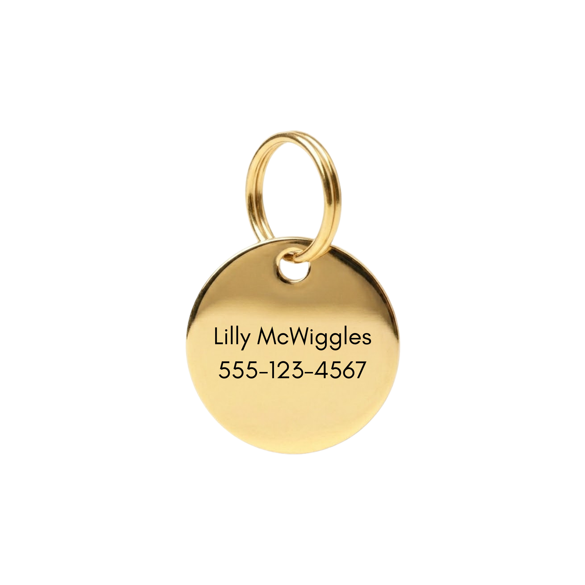 The Halo | Custom Round Polished Stainless Steel Pet ID Tag