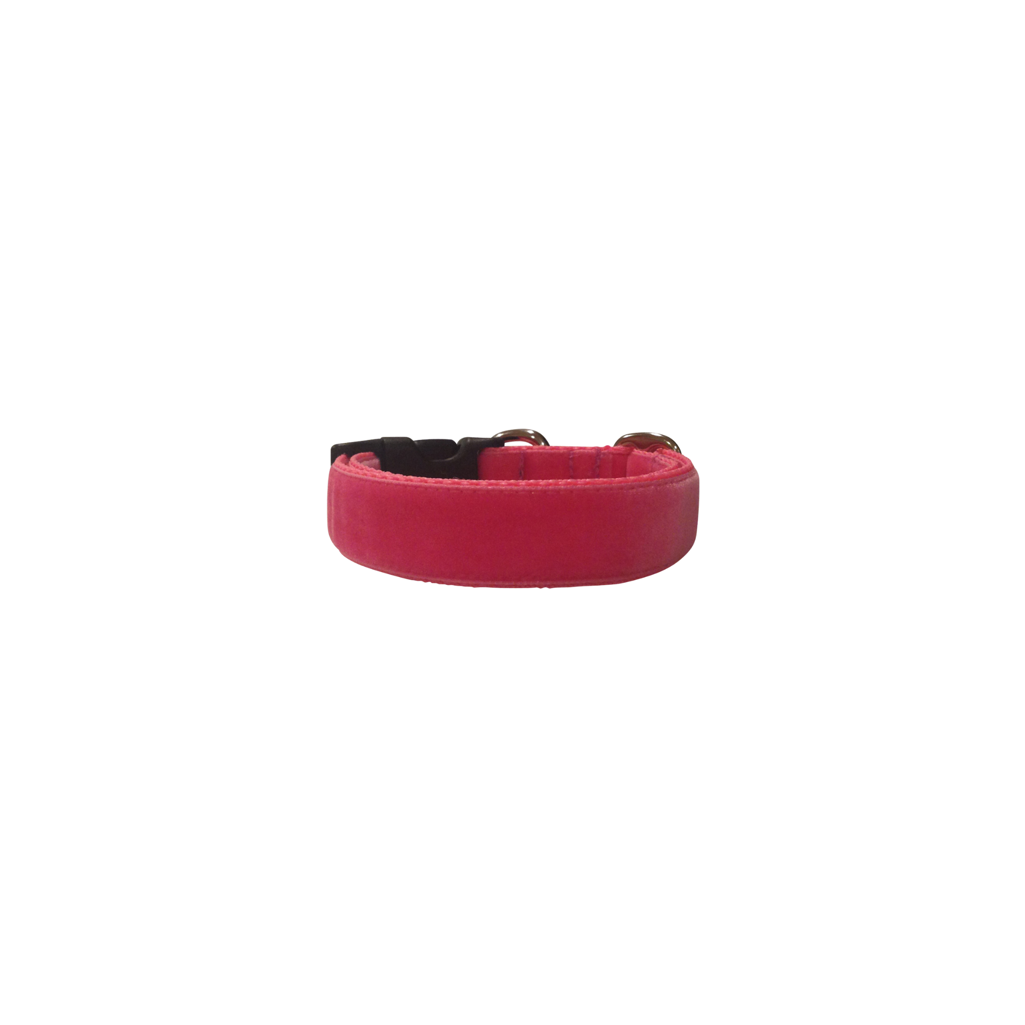 Electric Bliss | Luxury Velvet Pet Collar