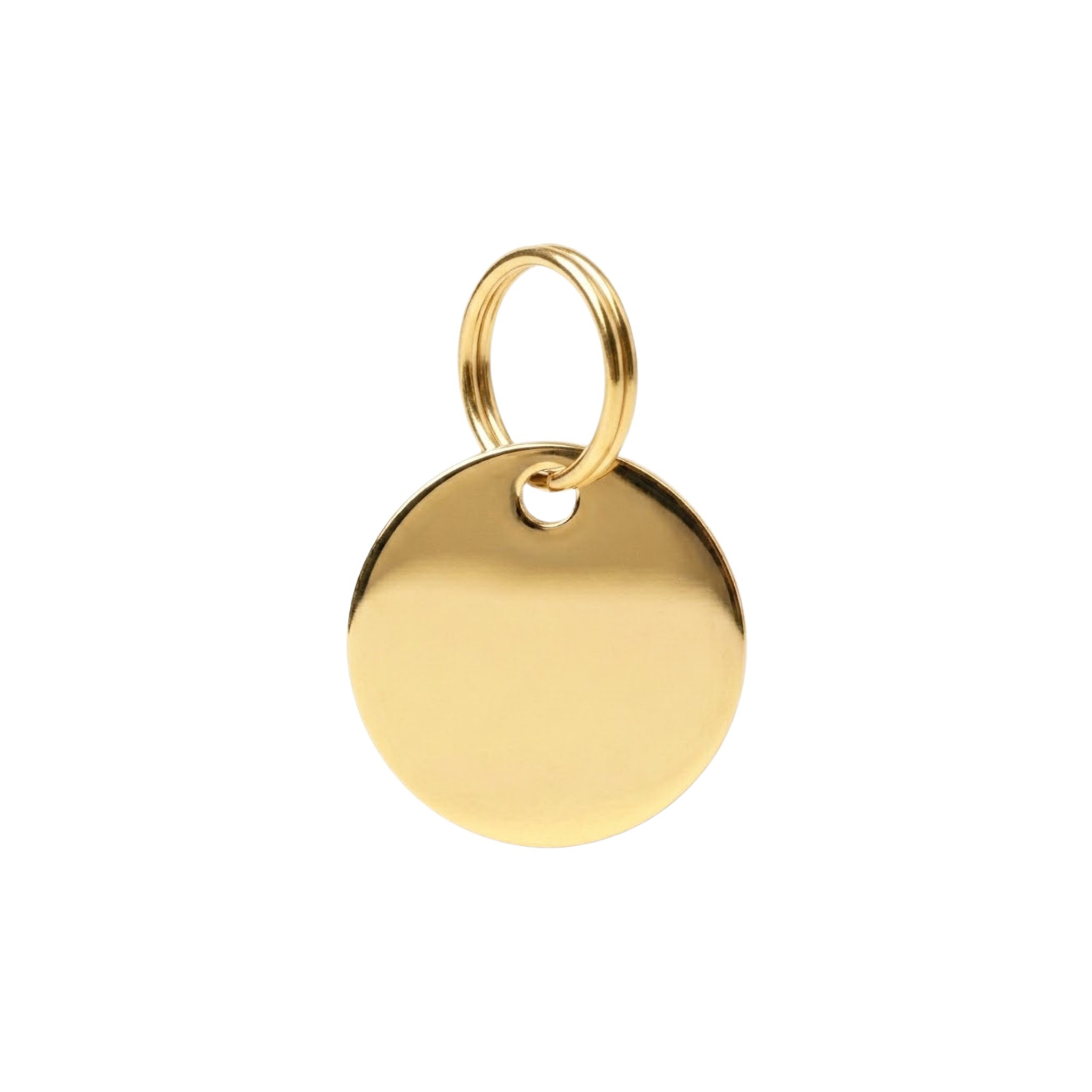 The Halo Pet ID Tag & Charm