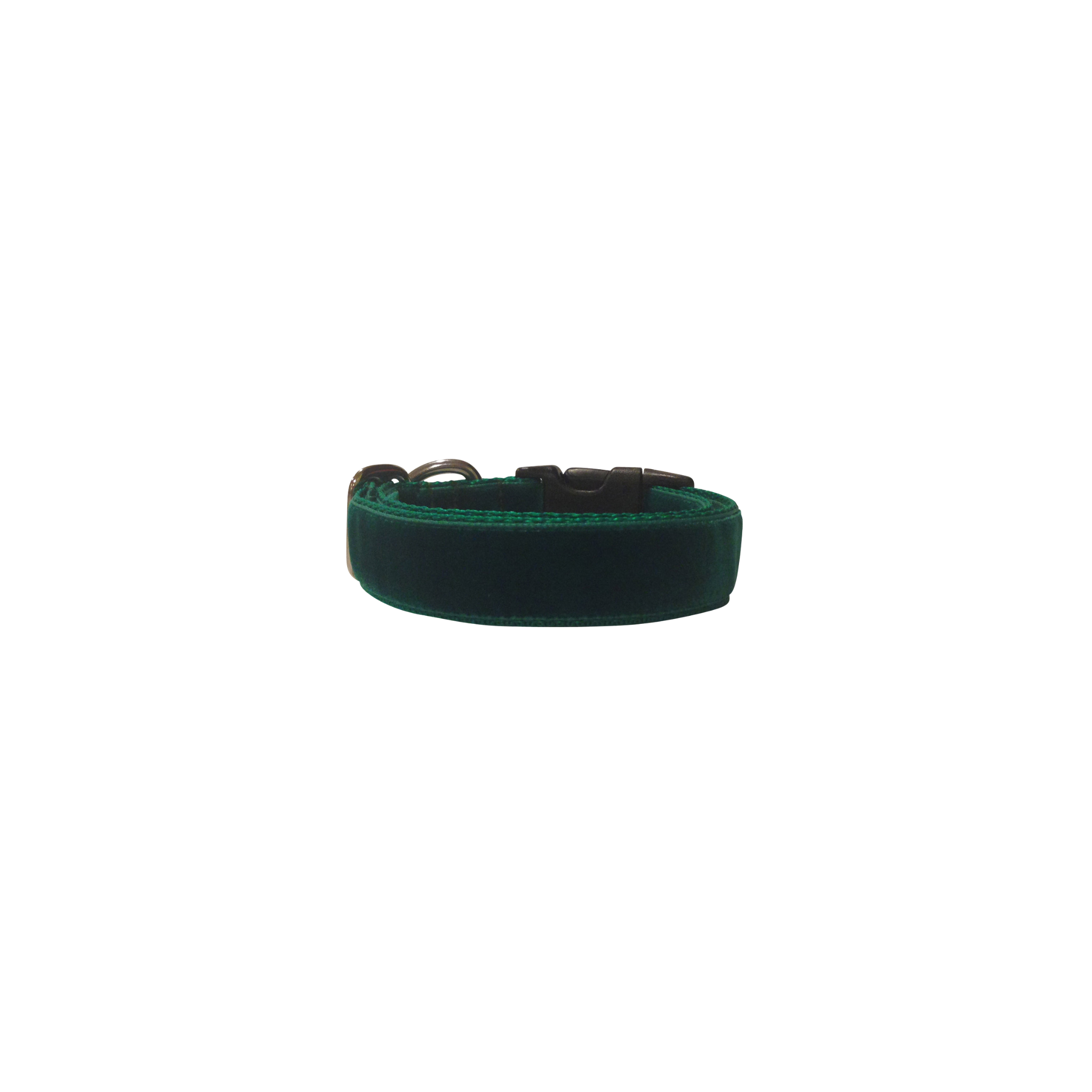 Abundant Forest | Luxury Velvet Pet Collar